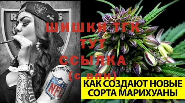 прущие крисы Балахна