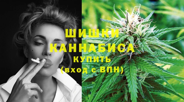 хмурый Аркадак