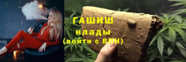 хмурый Аркадак