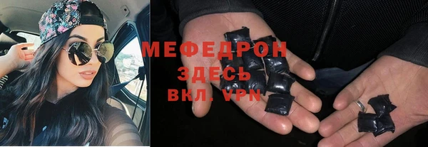 индика Арсеньев