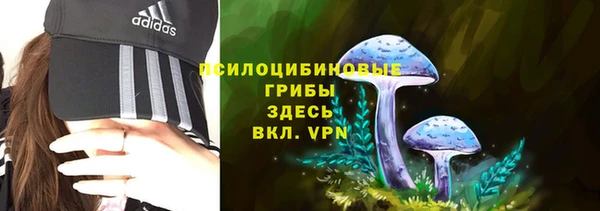 spice Зерноград