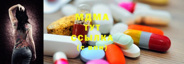 индика Арсеньев
