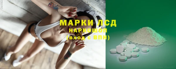 хмурый Аркадак