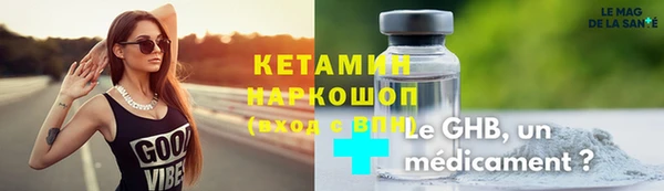 хмурый Аркадак
