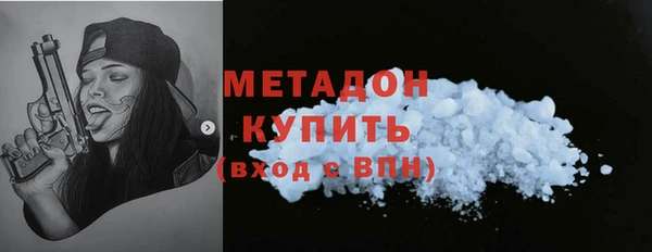 хмурый Аркадак