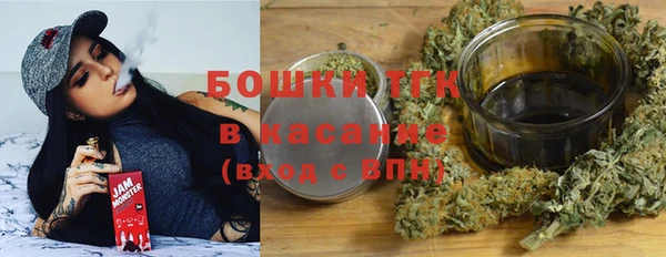 индика Арсеньев