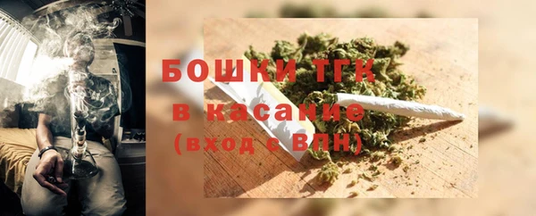 индика Арсеньев