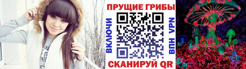 Галлюциногенные грибы Magic Shrooms  купить   Боровск 